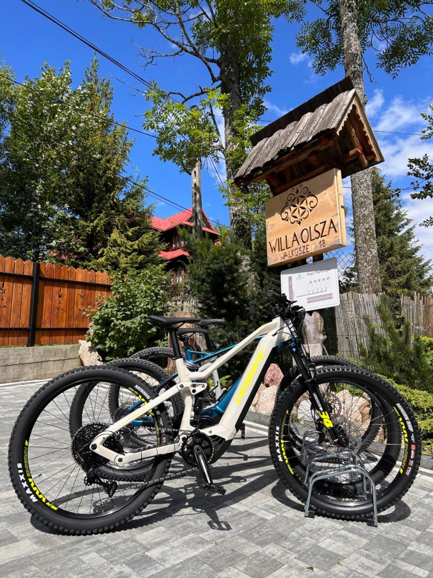 Apartamenty Willa Olsza Wood House & Mountain View & Sauna Zakopane Ngoại thất bức ảnh