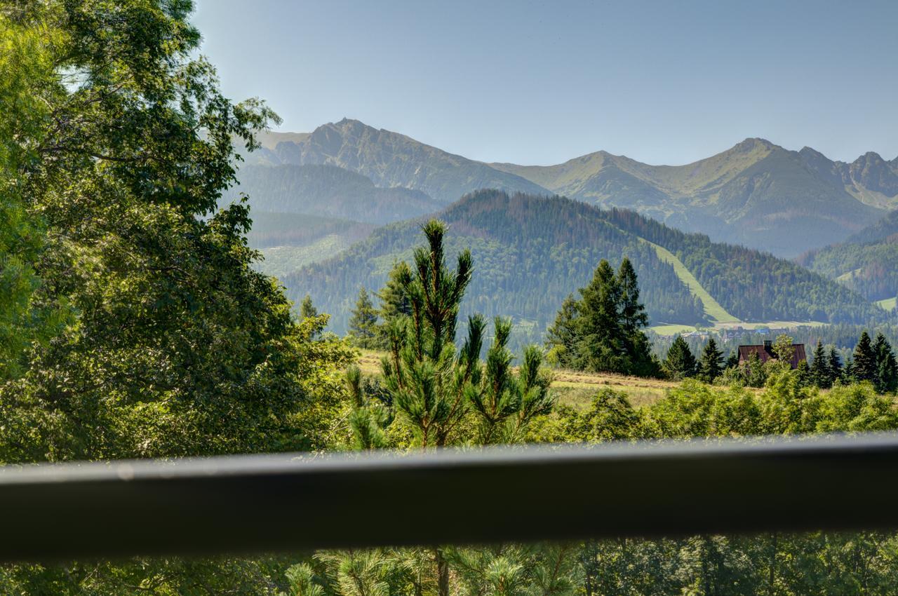 Apartamenty Willa Olsza Wood House & Mountain View & Sauna Zakopane Ngoại thất bức ảnh