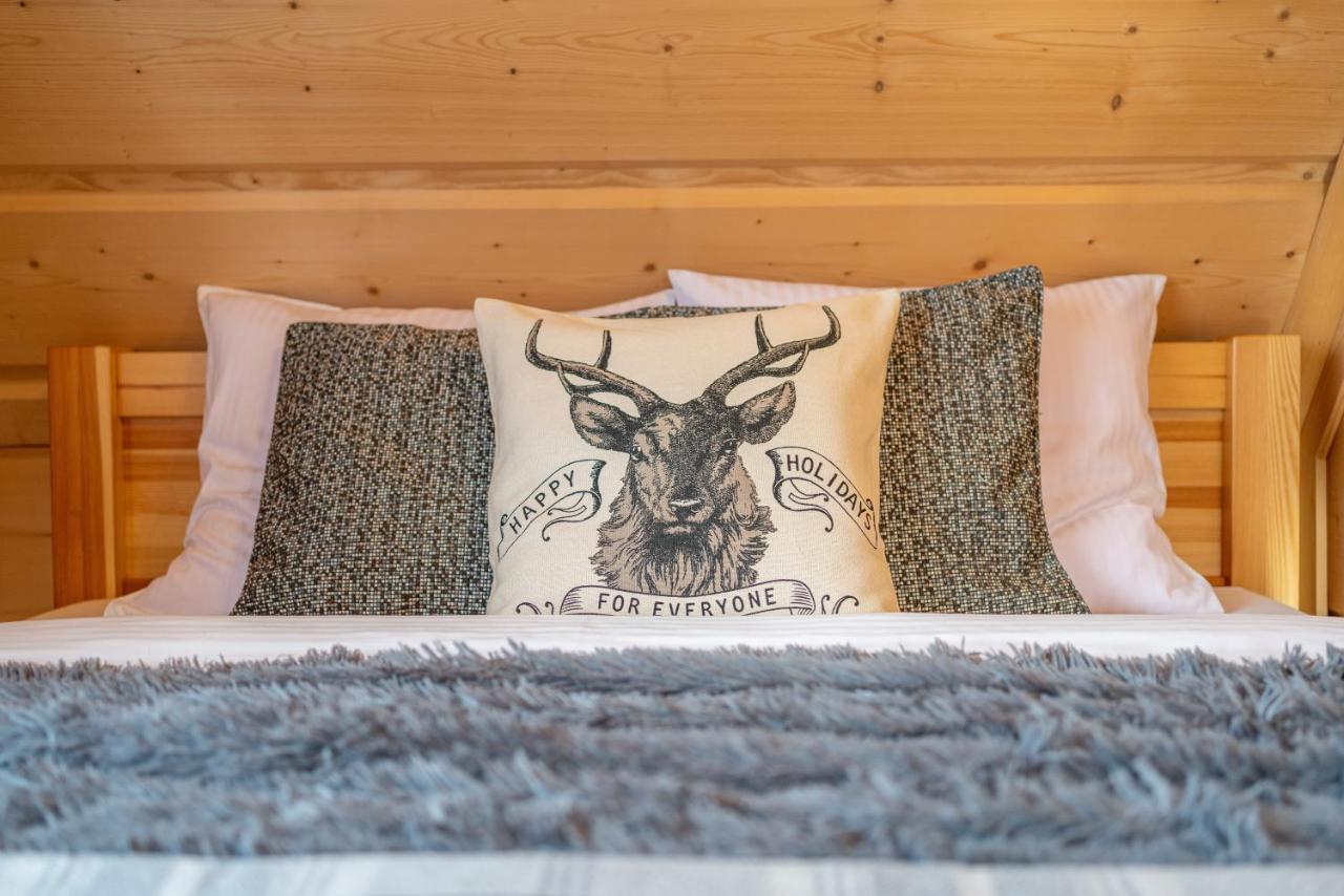 Apartamenty Willa Olsza Wood House & Mountain View & Sauna Zakopane Ngoại thất bức ảnh
